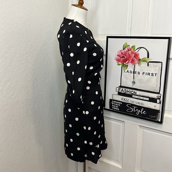 Rebecca Vallance Penelope BNW Polka Dot Mini Dress Size 0US - Picture 4 of 10